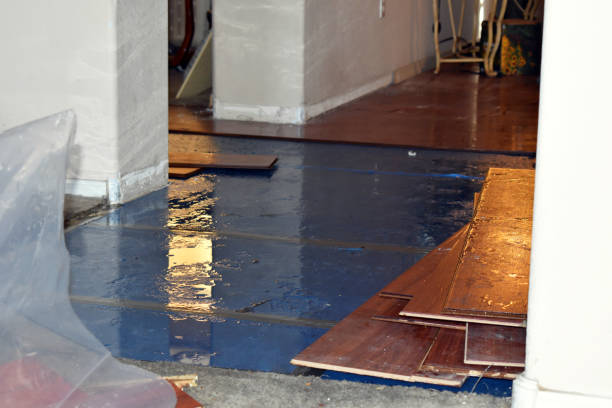 Professional Water Damage Restoration technician working in Phelan, CA